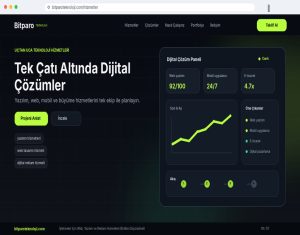 bitparoteknoloji.com: İşletmeler İçin Web, Yazılım ve Reklam Hizmetleri Birlikte Düşünülmeli